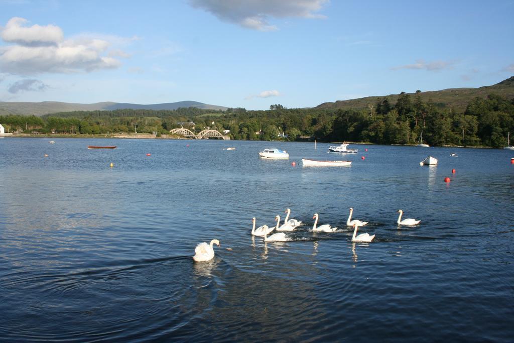 Riverlodge Self Catering Kenmare Cameră foto